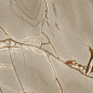 774891 Nature Mood Rainforest Comfort 6mm 60x120 Casa Dolce Casa