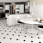 Monocolor VIVES