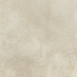 610010001457 Millenium Dust Nat Ret 60x120 Italon