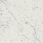 610015000356 Charme Extra Carrara Nat Ret 30x60 Italon
