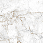 Crown Carving 60x120 Eurotile Ceramica