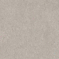 766521 Elemental Grey Sandstone Luc Ret 60x120 Cerim