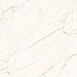 CR4010-A Ceaser Carving 60x120 Arcadia Ceramica