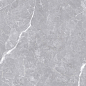 Luanda Polished Silver Carving 60x120 Realistik фото в миниатюре 3