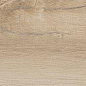 Leccio Gentile Ret 20x120 Serenissima Cir