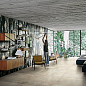Les Bijoux de Rex Rex Ceramiche