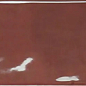 PT02910 Earth Wine Gloss 7.5x30 Ribesalbes