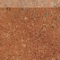 DSAPS665 Siena red-brown 8.5x45 RAKO
