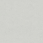 FLORALIA NEIGE 60x120 Ariana