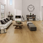 Starwood Venis