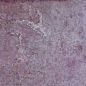 29015 Dyroy Aubergine 6.5x20 Peronda фото в миниатюре 15