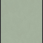 764112 Policroma Arco Lichene-Conifera Mat Ret 6mm 120x240 Cedit