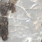 PR215 Honey Onyx Sky Polished 600x1200 PrimaVera