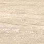 Dixie Almond 20x120 Geotiles