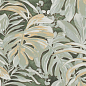 133487 Alchymie Exotic Nat Ret 60x120 Naxos
