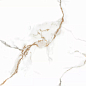 Platinum Gold Glossy 60x120 Art Ceramic