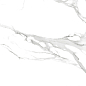60120CLM15P Calacatta Montreal 60x120 LCM