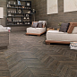 Starwood Venis