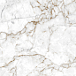 Crown Carving 60x120 Eurotile Ceramica