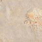 Кер гр ARDESIA OCRE 32x62.5 Gayafores