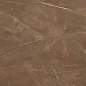 Armani Brown Satin 60x60 Colortile