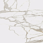 610010001683 Charme Evo Calacatta Nat Ret 80x160 Italon