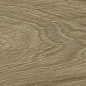 WD106 Branch Taupe 20x120 PrimaVera