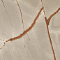 775096 Nature Mood Rainforest Comfort Ret 9mm R10 60x120 Casa Dolce Casa