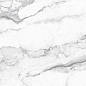 246738 Carlo Polished 80x160 Pardis Ceramic Pazh