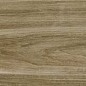 Alessandria Camel 19.5x120 Prissmacer