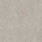766615 Elemental Grey Sandstone Nat Ret 30x60 Cerim