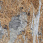BLU JE6 12 LPM 60x120 Imola Ceramica