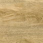 Italian Wood Honey G-251/SR (GT-251/gr) 20х60 Grasaro