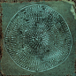 Carlo Jade-B 20x20 VIVES