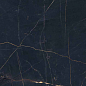PF60011003 Precious Black Lux Ret 60x120 ABK