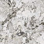 MN291AP321606 Pulm Blossom Polished 6mm 160x320 Moreroom Stone
