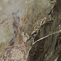 774852 Heritage Emerald Glossy 6mm 60x120 Rex Ceramiche фото в миниатюре 3