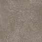42811 Cosmos Chocolate SP/90X90X0,9/C/R 90x90 Harmony фото в миниатюре 12