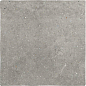 132941 Halo XXL Noon 44x44 WOW