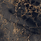 GR101 Golden Black High glossy 600x600 PrimaVera