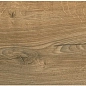 ZA 0021 ZAR 60х15х08 Eurotile Ceramica