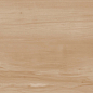 Paint Wood Bone Gloss 60x120 Realistik