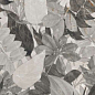 12GNDEC02RET Genesis Decoro Flora Cold Rett R10 60х120 La Fenice
