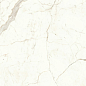 A4Q9 Marvel Calacatta Prestigio Lappato 120x120 Atlas Concorde