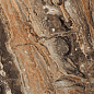 GR104 Richter Brown High glossy 600x600 PrimaVera
