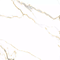 PR126 Bellevue Gold Polished 600х600х9 PrimaVera