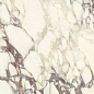 PL612671 Calacatta Viola Luc 60x120 Ariostea