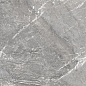 D60260M Wild Dark матовый 600x600x9.5 New Trend