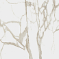 610010001411 Charme Evo Calacatta Nat Rett 60x120 Italon
