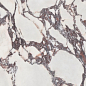 46-869-0001-11342 Cr Lux Viola  Pul. Rect. 60x120 Pamesa